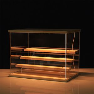 Aufbewahrungsboxen, Behälter, 3 Etagen, Präsentationsständer, LED-Licht, transparente Acryl-Vitrine mit Holzregalen, Aufbewahrungsbox, Figuren-Riser, Parfüm-Ausstellung 230803