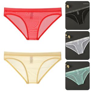 Underpants Seamless Breathable Mesh Panties For Men Sexy Ice Silk Underwear Low Rise Briefs See Through Lingerie Waist Soft