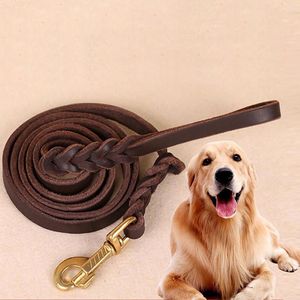 Dog Collars Leather Woven Leash Pet Traction Rope Oil Harnesses & Leads Fashion 2023 Pretty Cute