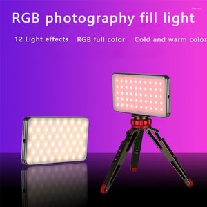 Blitzköpfe RGB-LED-Videoleuchte, Vollfarbkamera, wiederaufladbar, 4000 mAh, dimmbar, 2500–8500 K, Panel, Powerbank, Ladegerät für Telefon