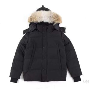Высококачественная мужская куртка Goose Coat Real Big Wolf Fur Canadian Wyndham Oversoat Clothing Style Стиль зима верхняя одежда Parka Wuxh789
