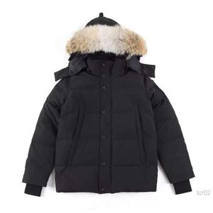 Cappotto da uomo di alta qualità da uomo in giacca d'oca vera big wolf pelliccia canadese wyndham abbigliamento overcopone stile stile esterno inverno parka wuxh789