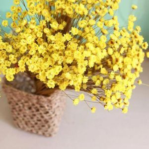 Buquê de plantas naturais pequenas florais para casamento faça você mesmo decoração de casa 30 peças decorativas flores secas mini margarida estrela flor