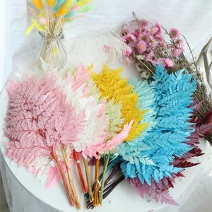 Flores decorativas 10 pçs ramo eterno feito naturalmente folha de samambaia alpina festa de casamento acessórios para decoração de casa faça você mesmo material decoração