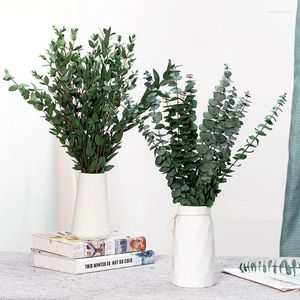 Dekorativa blommor torkade eukalyptus lämnar riktiga grönska stjälkar färska grenar för dusch bröllop kransparty hem doft vasdekor
