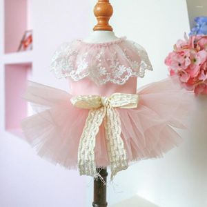 Dog Apparel Beautiful Dress Lace-up Bowknot Decor Cosplay Breathable Cute Mesh Yarn Hem Pet Princess Tulle