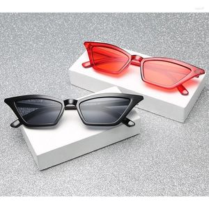 Sonnenbrille Vintage Cat Eye Kleine Rechteck Sonnenbrille Retro Marke Designer Brillen Für Frauen Shades Weibliche Brillen