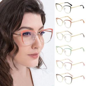 Sunglasses Trendy Cat Eye Optical Glasses Office Anti-Blue Light For Women Men Oversized Frame Protection Computer Goggles