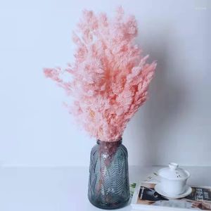 Decorative Flowers Penglai Pine Dried Plant Real Nature Boho Decor Home Party DIY Wedding Eternel Reed Flower Bouquet Pography Props