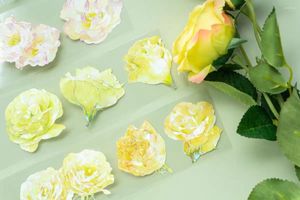 Hediye Sarması Vintage Platycodon Grandiflorum Floral Washi Pet Bant Kart Yapma DIY Scrapbooking Planı Dekoratif Çıkartma
