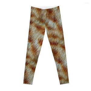 Calça Active Laranja Tabby Kitty Leggings Textura de Pele Roupas Fitness Push Up