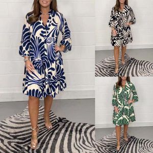 Womens Clothing Autumn And Winter Casual Loose Print Dress