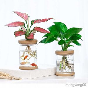 Planters Pots Pot Bunga Hidroponik Mini Pot Tanaman Tanpa Tanah Transparan untuk Dalam Ruangan Desktop Tangki Ikan Tanaman Rumah R230807