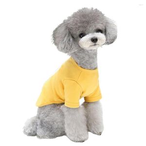 Roupas para cães 2023 outono roupas para animais de estimação estampa de urso dos desenhos animados todas as duas pernas cachorros moletom fantasia moletom com capuz