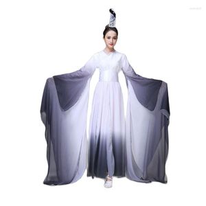 Indossa da palcoscenico costume da danza folk cinese antico stile inchiostro abiti da ballerina classica tradizionale abito orientato yangko