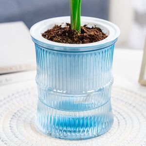 Çiziciler Pot Pot Bunga Hidroponik Transparan Pot Tanaman Bonsai Kantor Rumah Pot Bunga Malas