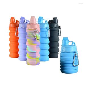 Bottiglie d'acqua Ciotola pieghevole multifunzione in silicone per animali domestici Borraccia portatile per sport per cani da viaggio all'aperto