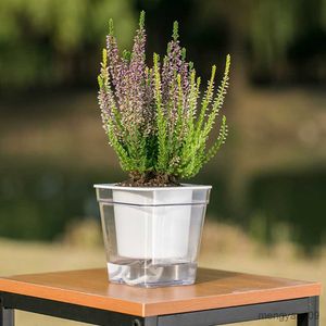 Planters Pots Pot Tanaman Penyiraman Otomatis Bening Pot Bunga Plastik Pot Bunga Hidroponik Tanaman Sukulen Bonsai Rumah Luar Ruangan Dalam Ruangan R230807