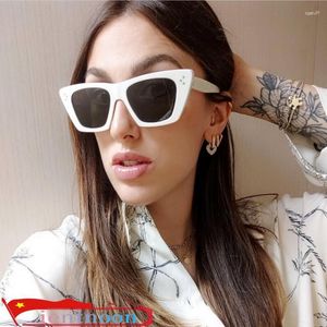 Óculos de sol 2023 feminino marrom borboleta design clássico cool acetato estrela cantor talento ao ar livre moda com óculos de sol de luxo