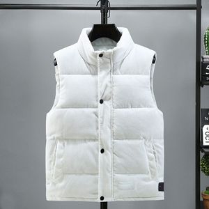 Gilet ispessito invernale piumino da uomo colletto alla coreana cappotto da pane senza maniche multi-colore nuovo cappotto in cotone di grandi dimensioni sciolto cappotto in cotone pietra amanti della luce