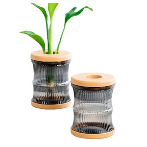 Donice Pots Pot Bunga Transparan Pot Tanaman Bonsai Kantor Rumah Pot Bunga