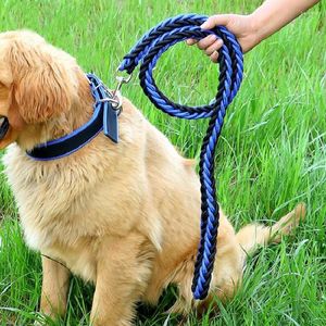 Hundehalsbänder, Hundegeschirr, Leinen, Seil, P-Kette, Schlupfhalsband, für kleine, mittelgroße und große Haustiere