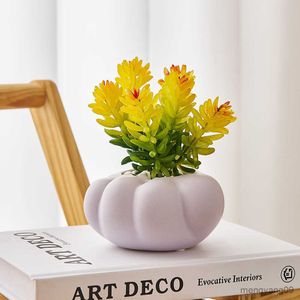 Fioriere Vasi Pot tanaman sukulen rumah kartun Pot bunga Pot bunga dekoratif rumah R230808
