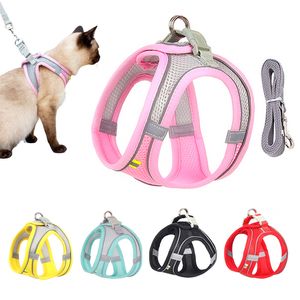 Hundhalsar Leases Escape Proof Cat Harness and Leash Set Justerbart nät Västvalp Pet Walking Lead Small Dogs Catts Kattunge XXS 230807