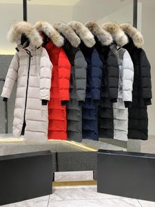 Stil Ünlü Tasarımcı Kadınlar Uzun Down Ceketler Nakış Mektupları Kanada Kış Kapşonlu G00ses Ceket Açık Mekan Kadın Giyim Rüzgar Geçirmez