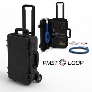 PEMF de saúde equina para cavalo Magneto Loop Instabilidade espinhal Máquina de terapia magnética