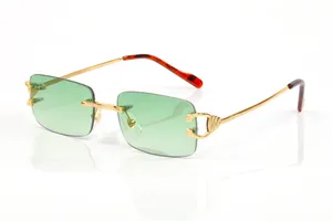 Occhiali da sole designer di marchi donna polarizzata occhiali per occhiali per occhiali da uomo da sole estate occhiali da sole rettangolare leopardola leopardo femmina Sonnenbrille