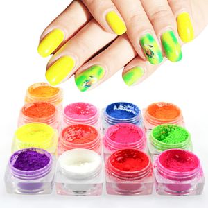 Nail Glitter 1 Bottle Neon Pigment Fluorescence Powder Dust Gradient 3D Fine Ombre Pigments Art Decorations TRYE0113 230808