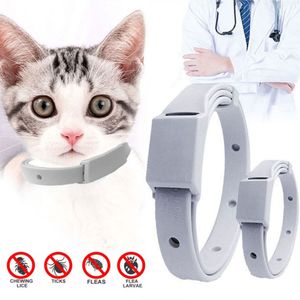 Dog Collars LEASHES ANTI FLEA TICK COLLAR for Cat Small Antiparasitic 8か月保護調整可能子犬子猫ブレイクアウェイペットアクセサリー230807