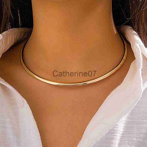 Hänge halsband ingemark vintage järnmetallmoment choker halsband för kvinnor goth guld färg smidig justerbar kedja mode smycken steampunk j230809