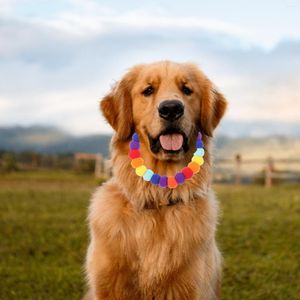 Hundhalsar stora valpar Collars Service Stylish Design Puppy Pet Decor personlig