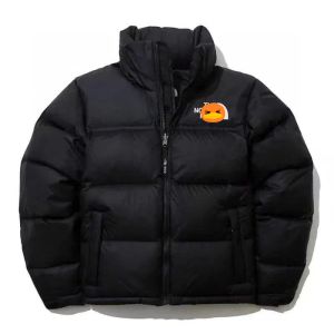 North Mens Noth Face Stylist Coat Parka Winter Fashion 남자 여자과 코트 재킷 아래로 겉옷 인과 힙합 스트리트웨어 페이스 2xl