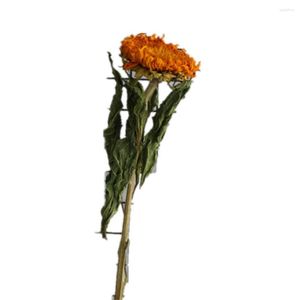 Flores decorativas 2 peças Girassóis Secos Originais Naturais Pelúcia Real Casamento Decoração Faça Você Mesmo