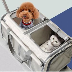 Dog Carrier Pet Large Handbag Space Trolley Small Backpack Hatchback Cat Medium-sized Bag Case Zipper Mesh Out And Portable Travel