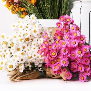 Fiori decorativi Natural Real Bouquet Rudan Birds Small Helichrysum Daisy Disposizione Vaso Room Home Art Decoration Mariage Valentine Day