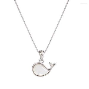 Pendant Necklaces Fashion Shell Little Whale Animal Necklace Silver Color Clavicle Chain For Women Jewelry Gifts