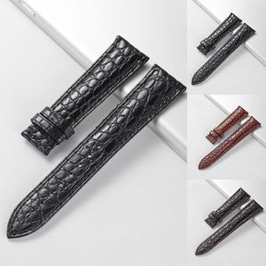 Oglądaj zespoły Real Aligator Watch Pas Pasp Oryginalne skórzane zespoły zegarków dla mężczyzn lub kobiet Watch Akcesoria 12 24 mm Nie wliczone Buckle 230808