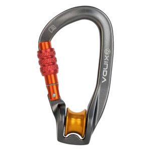 Rock Protection Locking Carabiner Mountaineeeeequipment D-Climbing Accessoires Pulley Hook Beakarabiner Sicherheitsschnuckle Campingschloss HKD230811