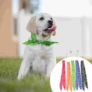 Dog Collars 5 Pcs Birthday Present Summer Tank Tops Cooling Wrap Bib Pet Ice Water Absorbent Resin Particles Scarf