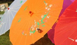 Elle boyanmış çiçek tasarımları ile üst düzey çeşitli renkler düğün gelini şemsiye ipek parasol