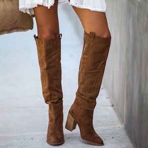 Boot Suede Knee High Ladies Solid Point Toe Tall Retro Roman Heels Shoes Female Autumn Winter Long Boot 230810