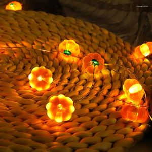 Party Decoration 8 lägen 3m 30 LED Pumpkin String Lights Remote Control Halloween 3D Garland för höst Thanksgiving Parties