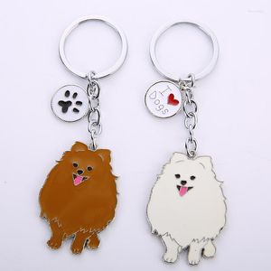 Chaveiros Jóias Adoráveis Pomeranian Dog Charme Chaveiros Para Mulheres Masculinas Metal Pet Dogs Bag Car Ring Holder Presentes Atacado