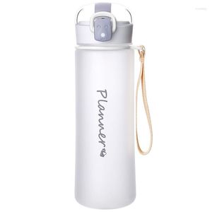 Water Bottles Student Cup Drinking Bottle With Straw Lid Boys And Girls For School Outdoor 400ML/500ML