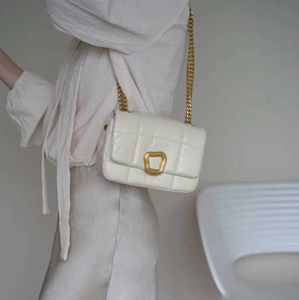 Songmont Bag Song Chocolate Series Wonton Lock Buckle Small Calfskin One Shoulder Chain Square Bag Light Luxury and High Sense