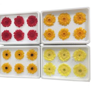 6st/låda mest populära naturliga riktiga blommor gerbera bevarade tusenskönor solros krysantemum blommhuvud hem bröllop dekoration